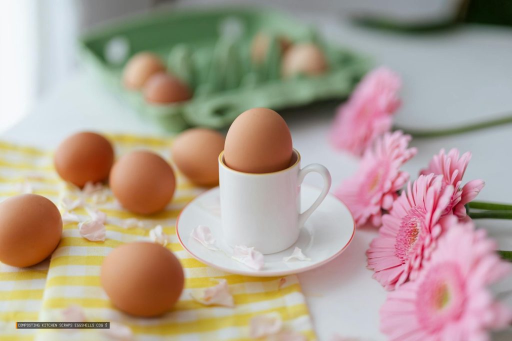 Composting Kitchen Scraps Eggshells Coffee
