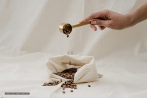 Kitchen Waste Your Plants Crave: Why Eggshells and Coffee Grounds Matter