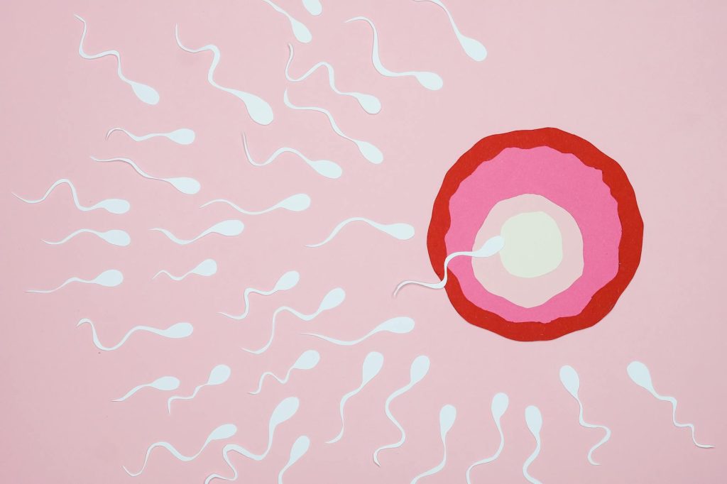 Sperm Health Research