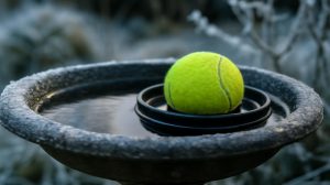 How Tennis Balls in Your Garden Can Help Wildlife Survive the Winter Cold