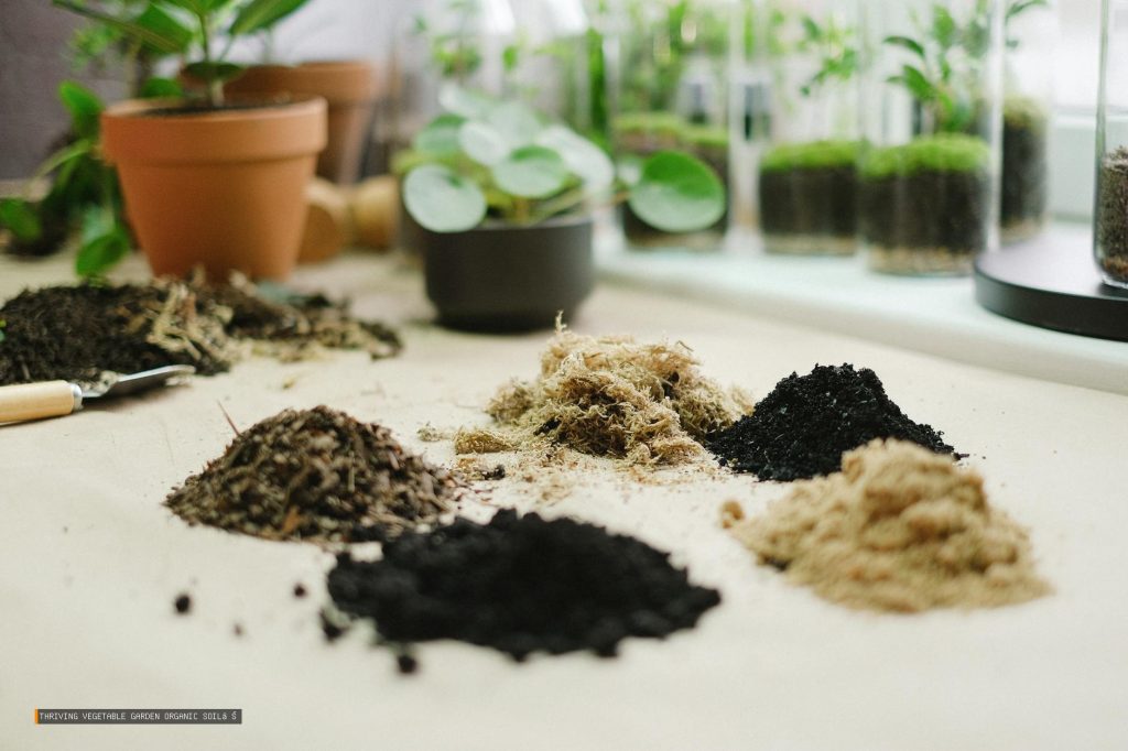 Thriving Vegetable Garden Organic Soil Amendments