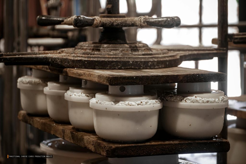Traditional Cheese Curds Production Method Quebec Dairy